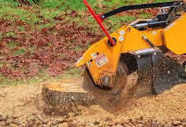 Leaf Removal in Village Of Oak Creek, AZ