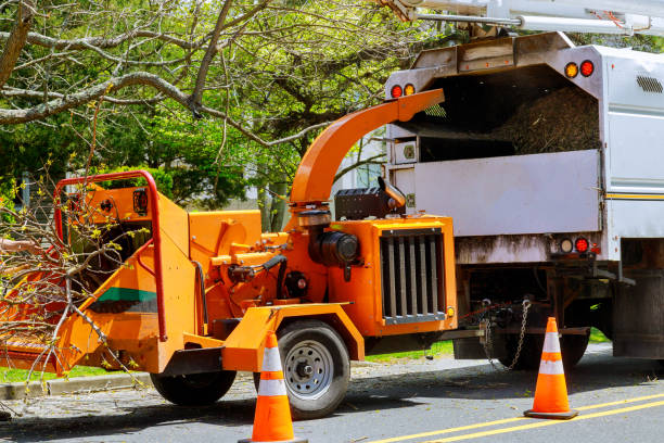 Best Tree Mulching  in Village Of Oak Creek, AZ